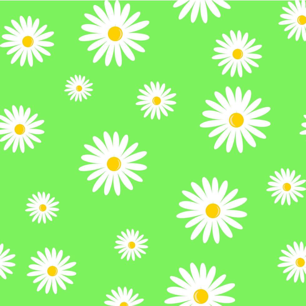 pattern with camomiles on green background. vector