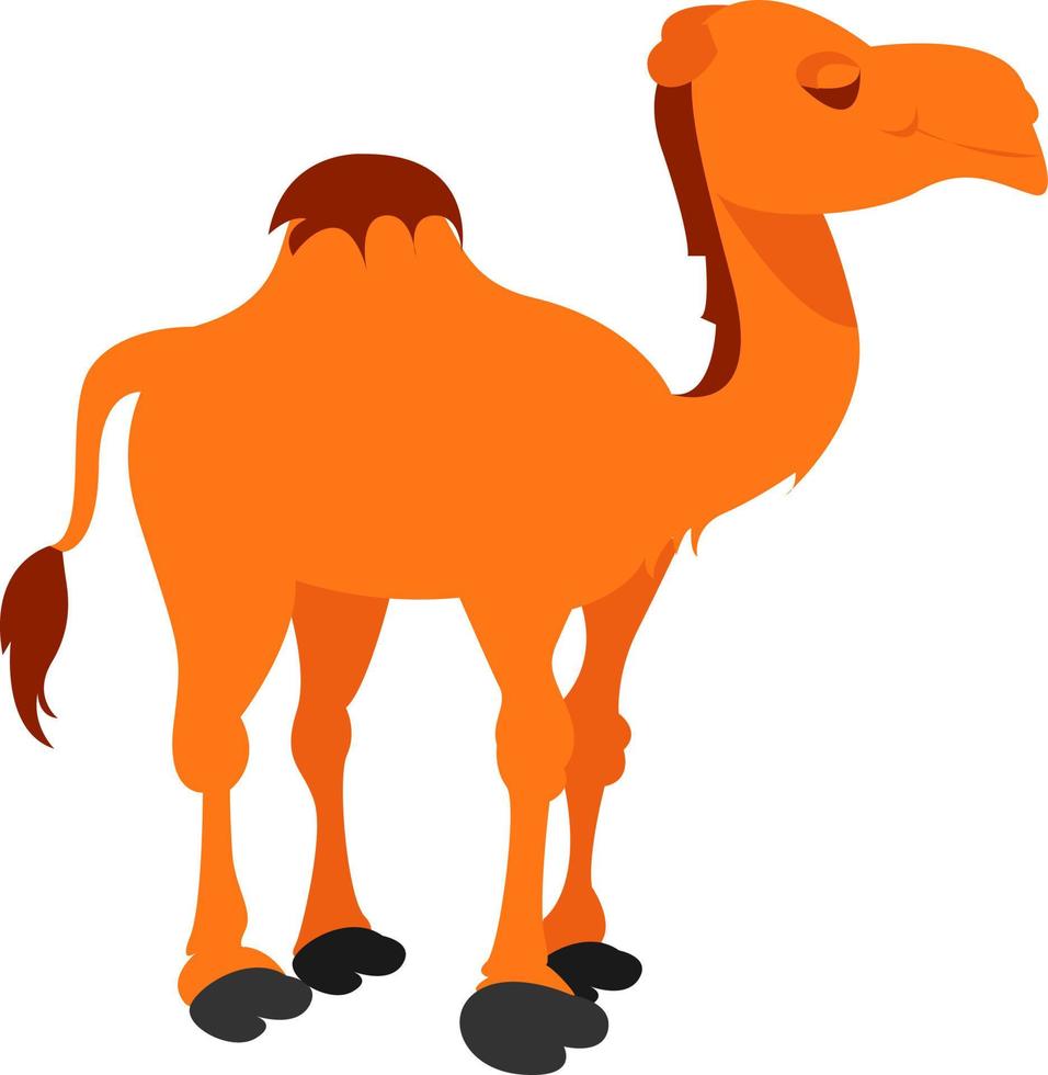 Smiling camel, illustration, vector on white background.