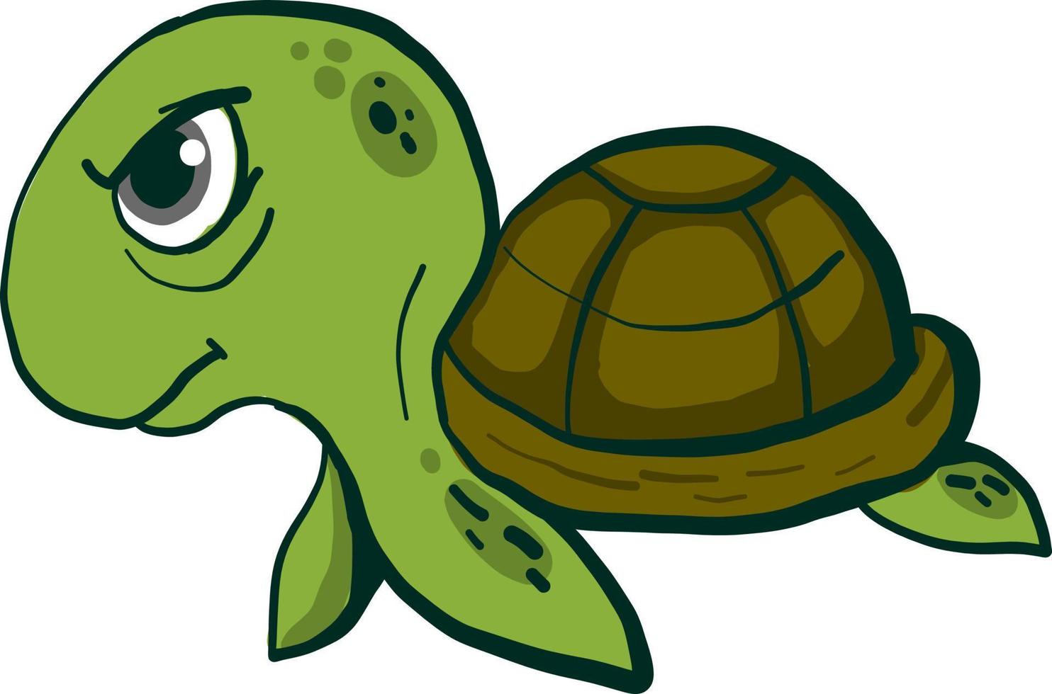 Angry turtle, illustration, vector on white background