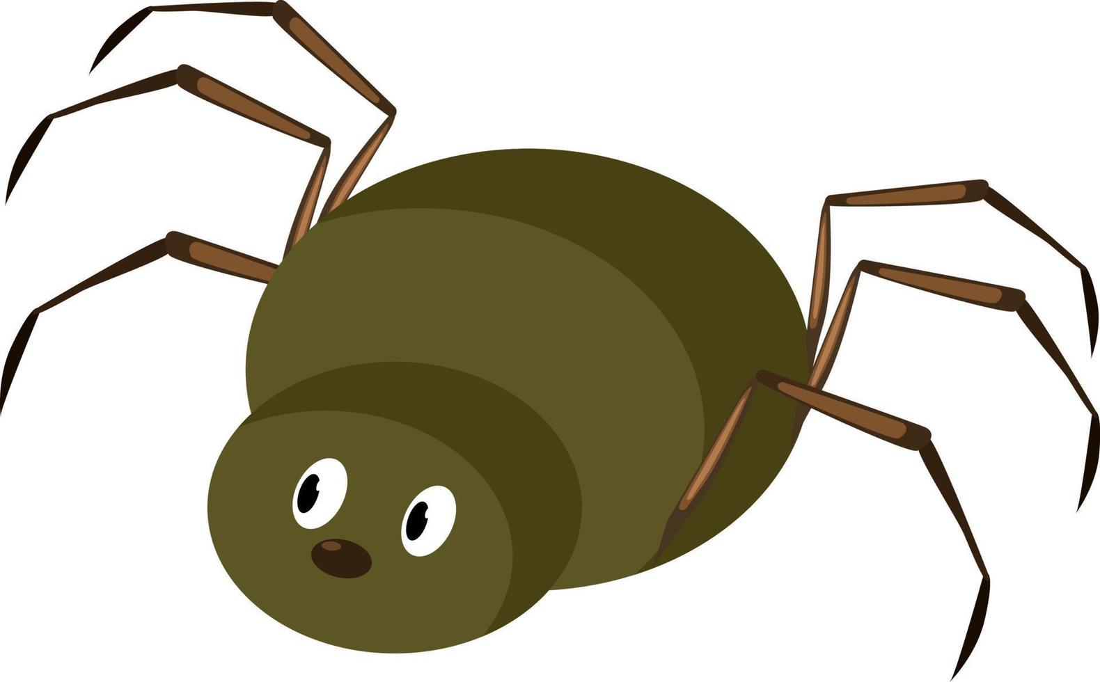 Green spider, illustration, vector on white background.