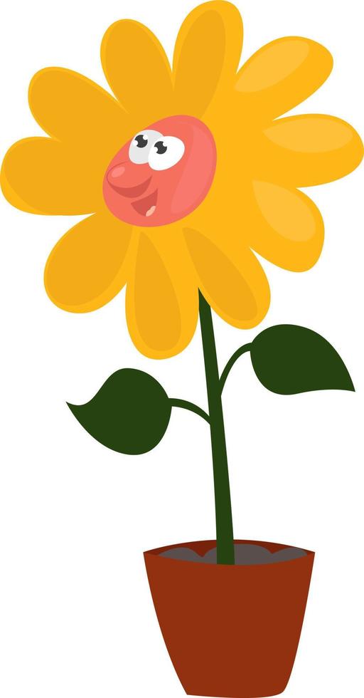 Yellow sunflower ,illustration, vector on white background