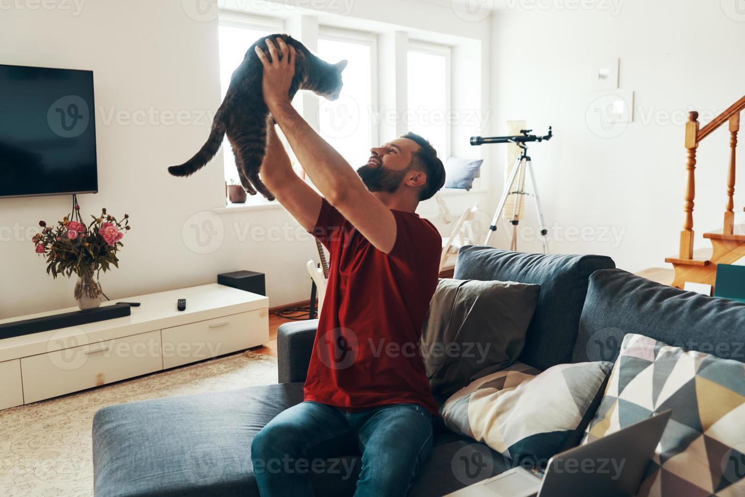 Charming young man in casual clothing bonding with domestic cat and smiling while spending time indoors photo