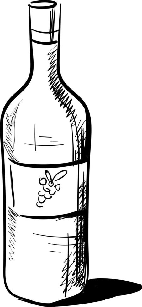 Bottle of wine drawing, illustration, vector on white background.