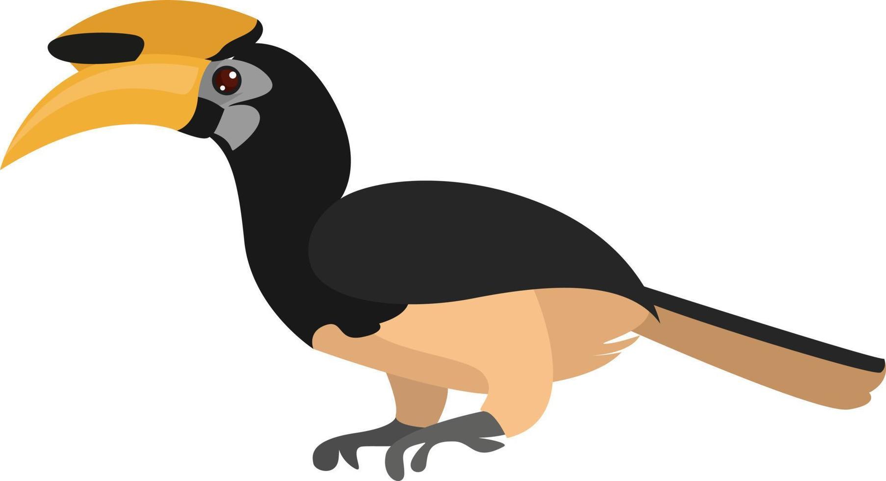 Hornbill bird, illustration, vector on white background