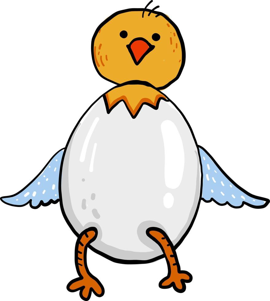 Happy chick in egg, illustration, vector on white background