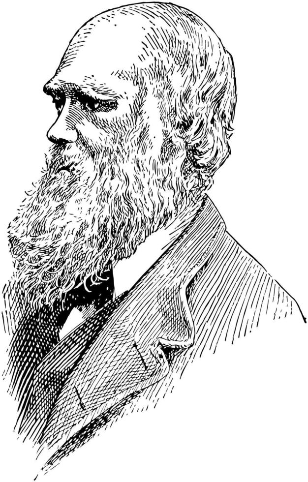 Charles Darwin, vintage illustration vector