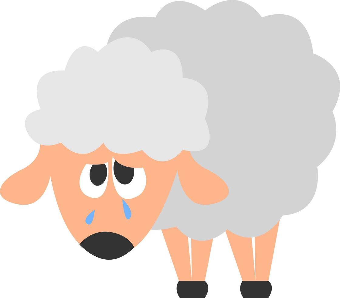 Sad sheep, illustration, vector on white background.