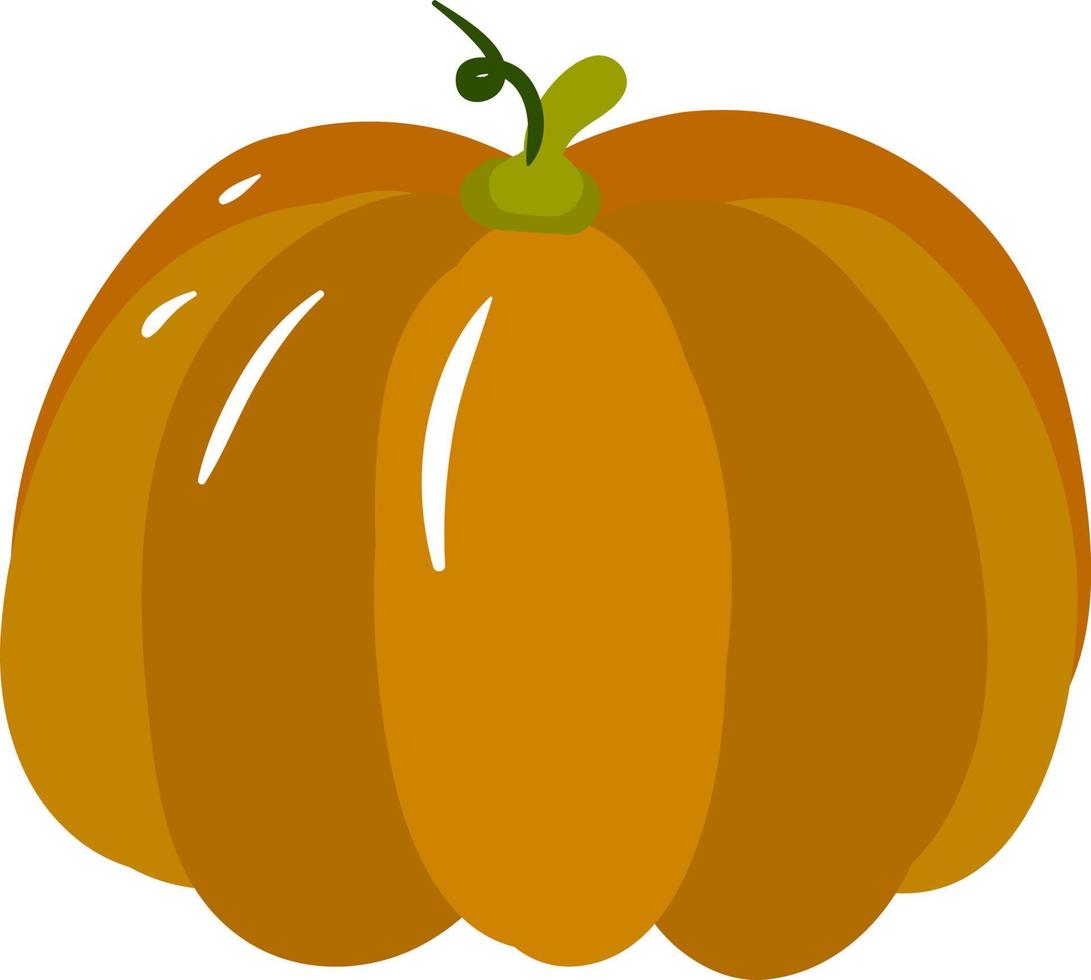 calabaza naranja, ilustración, vector sobre fondo blanco.