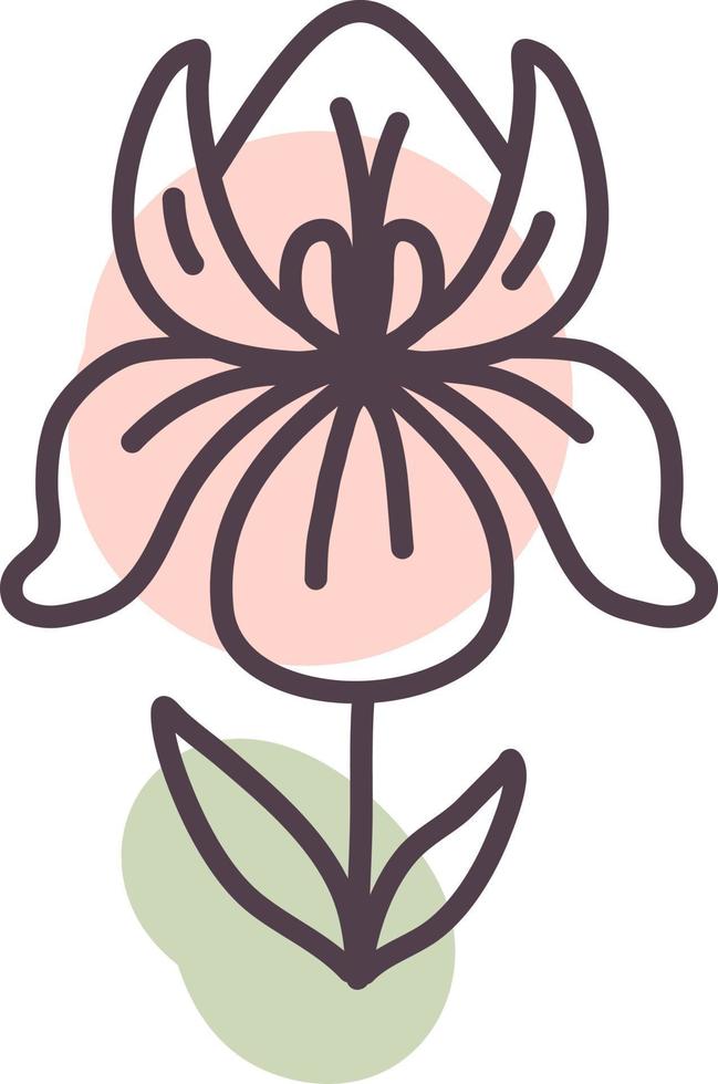 flor romántica, ilustración, vector, sobre un fondo blanco. vector