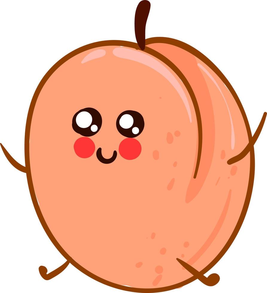 Cute pink apricot. illustration, vector on white background.