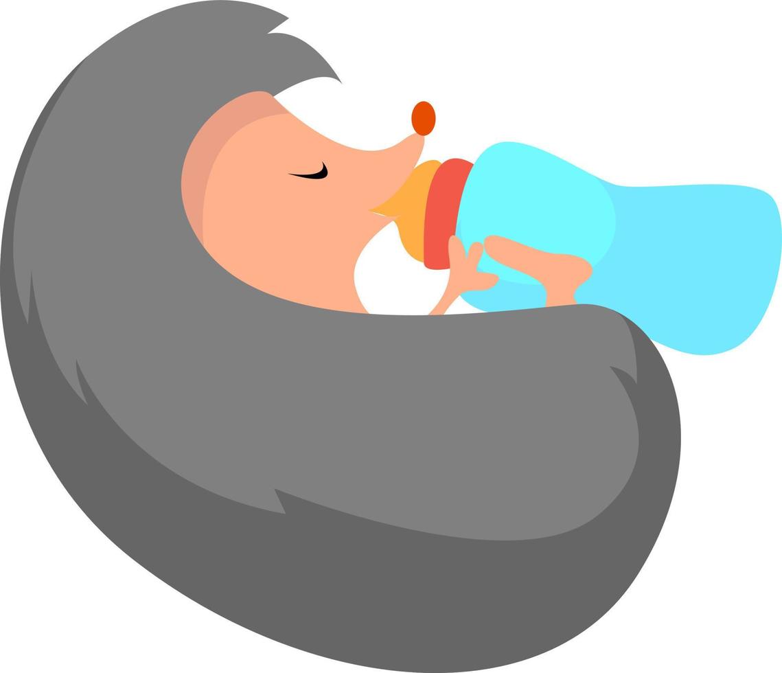 Baby hedgehog, illustration, vector on white background.