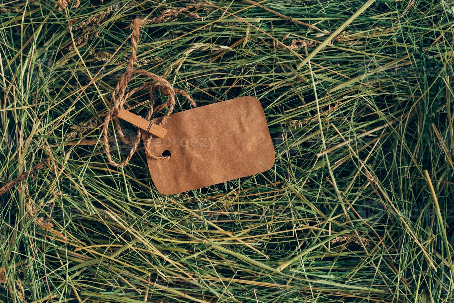 Message in hay. Top view of brown paper label lying on hay photo