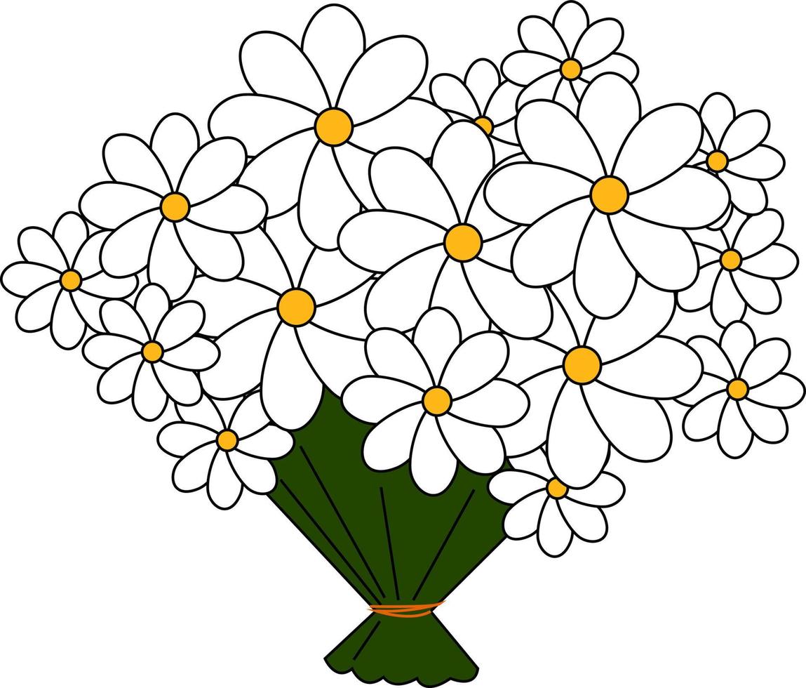 Bouquet of daisies, illustration, vector on white background.