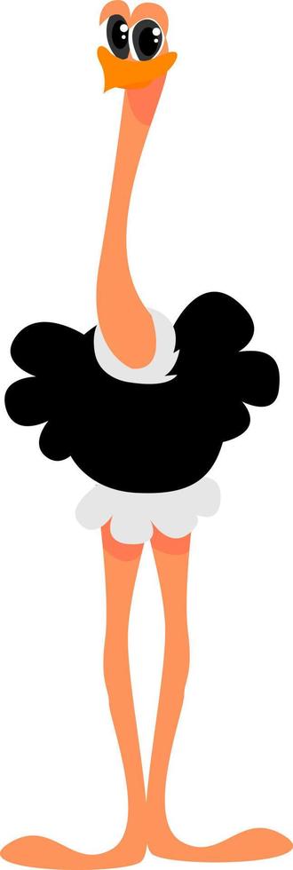 Ostrich animal, illustration, vector on white background.