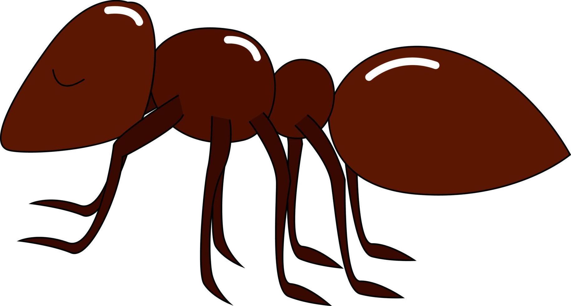 Red little ant, illustration, vector on white background.