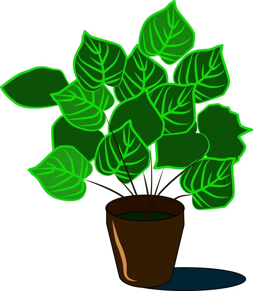 Plant in vase, illustration, vector on white background.
