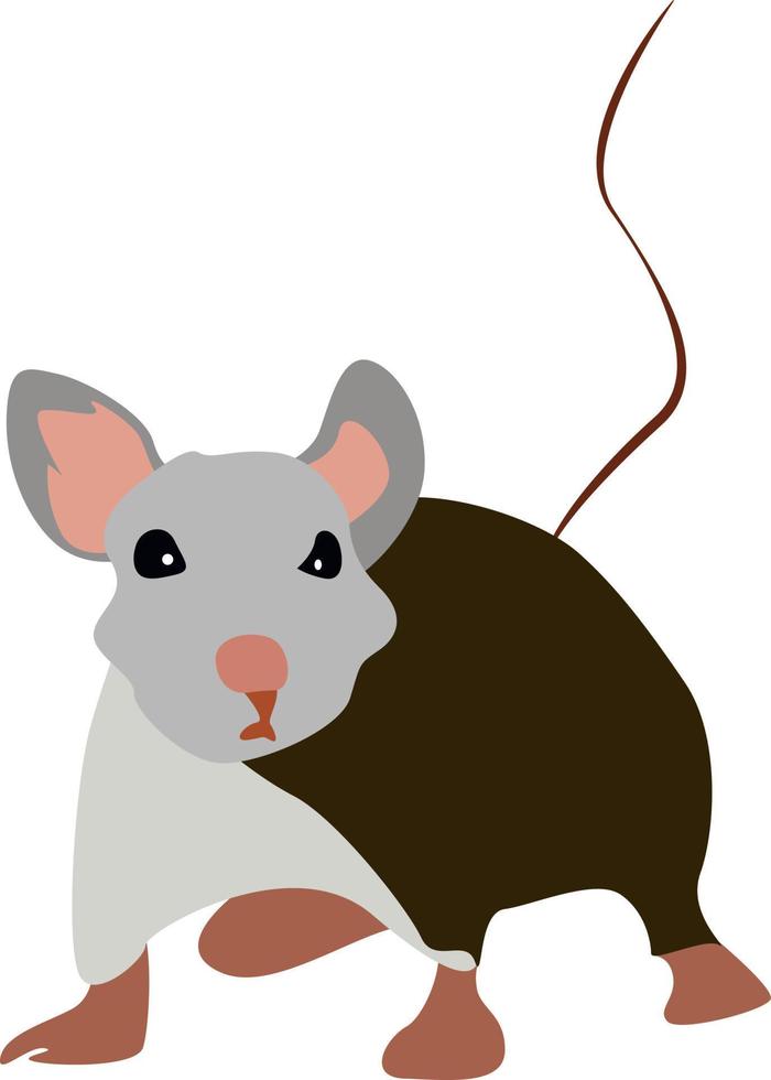 Long tall rat, illustration, vector on white background.