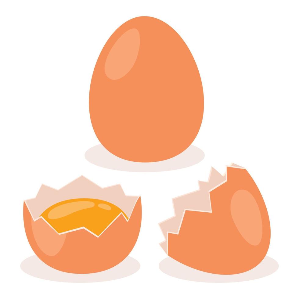 ilustración de huevos de gallina aislados vector