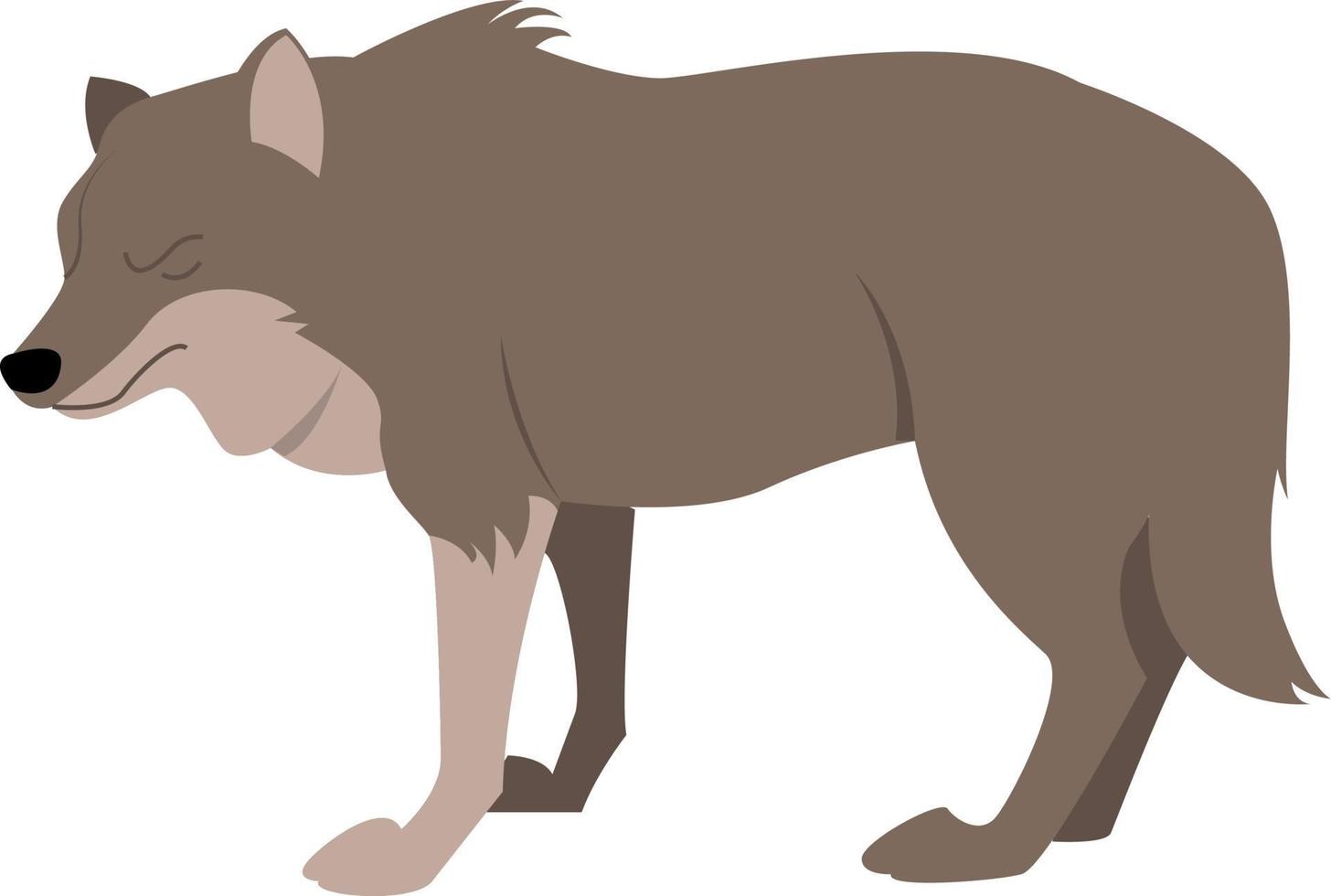 Fat wolf, illustration, vector on white background.