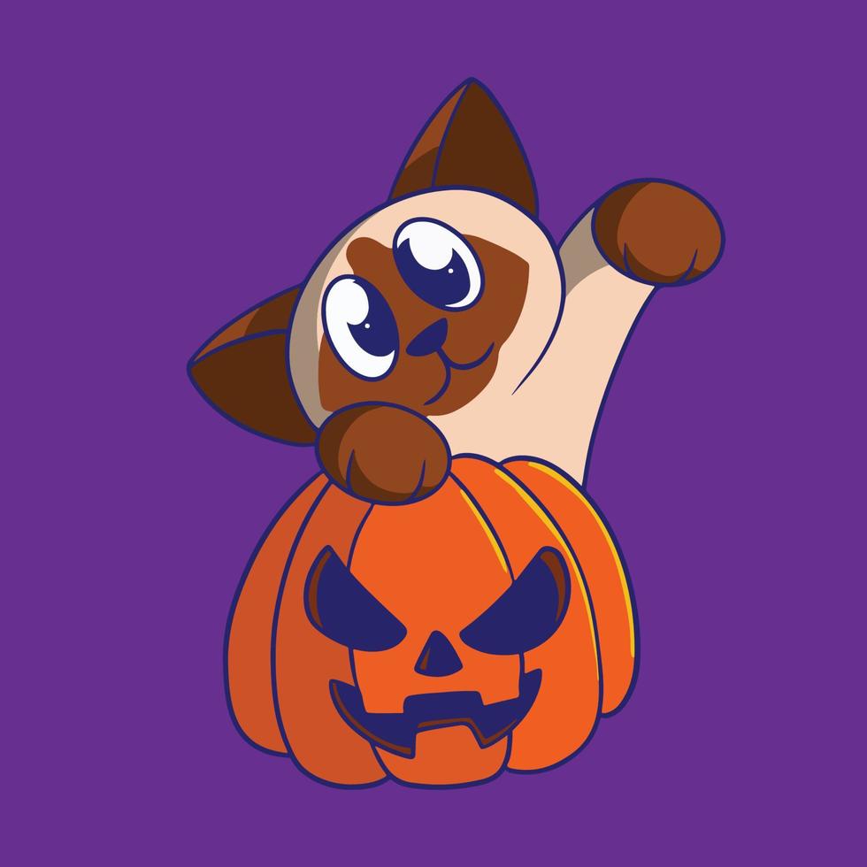 cartoon cat pumkin vector