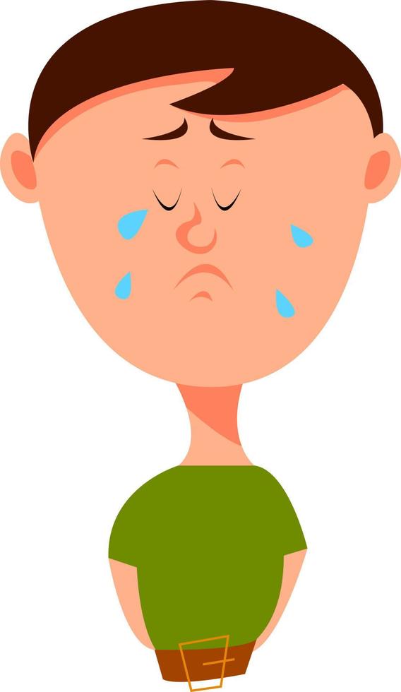 Boy is crying, illustration, vector on white background.