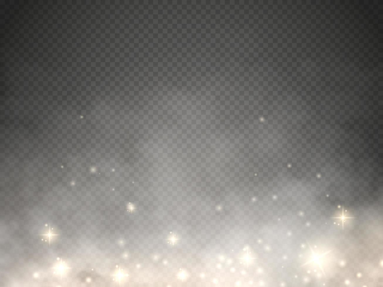 Bokeh lights isolated. Transparent blurred shapes. Abstract light effect. vector