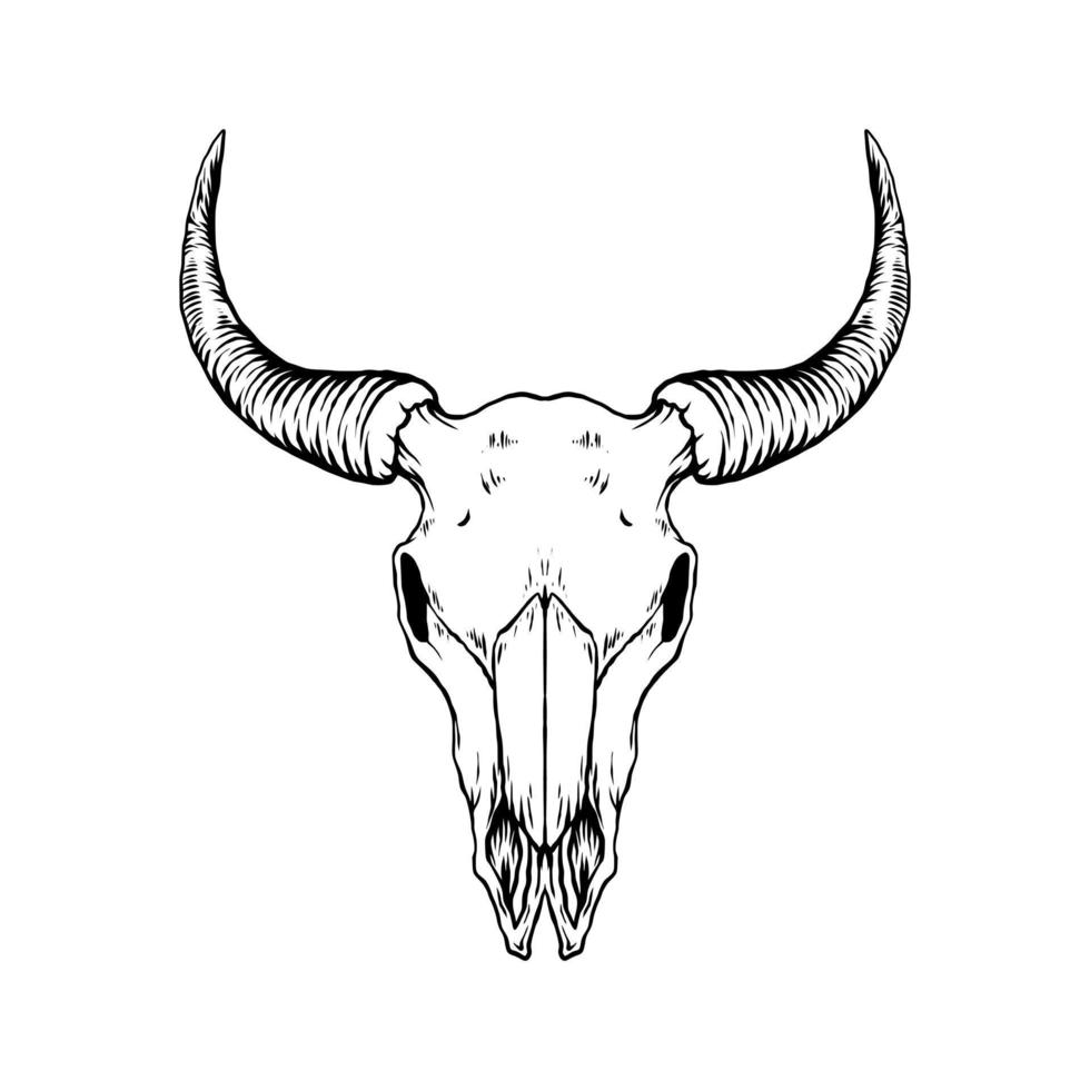 1,099 Bison Skull Drawing Images, Stock Photos & Vectors | Shutterstock