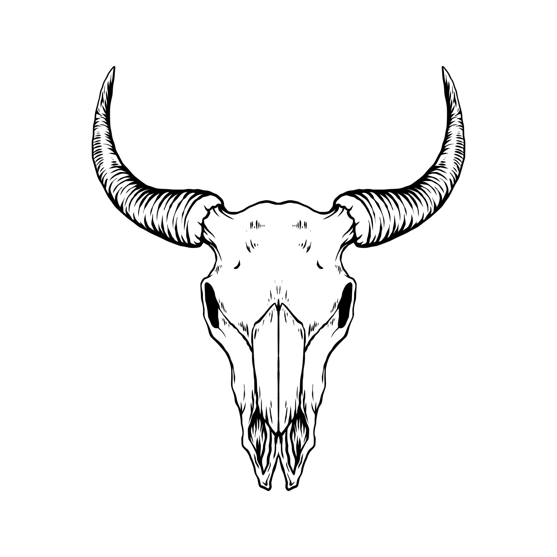 Bull skull drawing easy | How to draw A Bull skull step by step | outline  drawings | art janag - YouTube