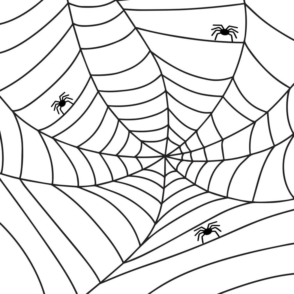 Web and spider. Vector illustration for halloween.