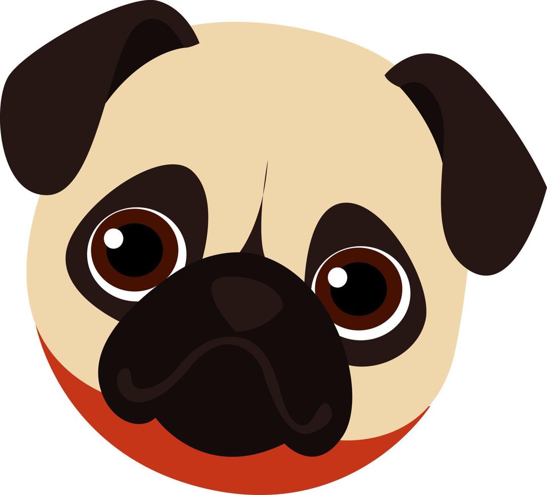 Pugs cabeza, ilustración, vector sobre fondo blanco.