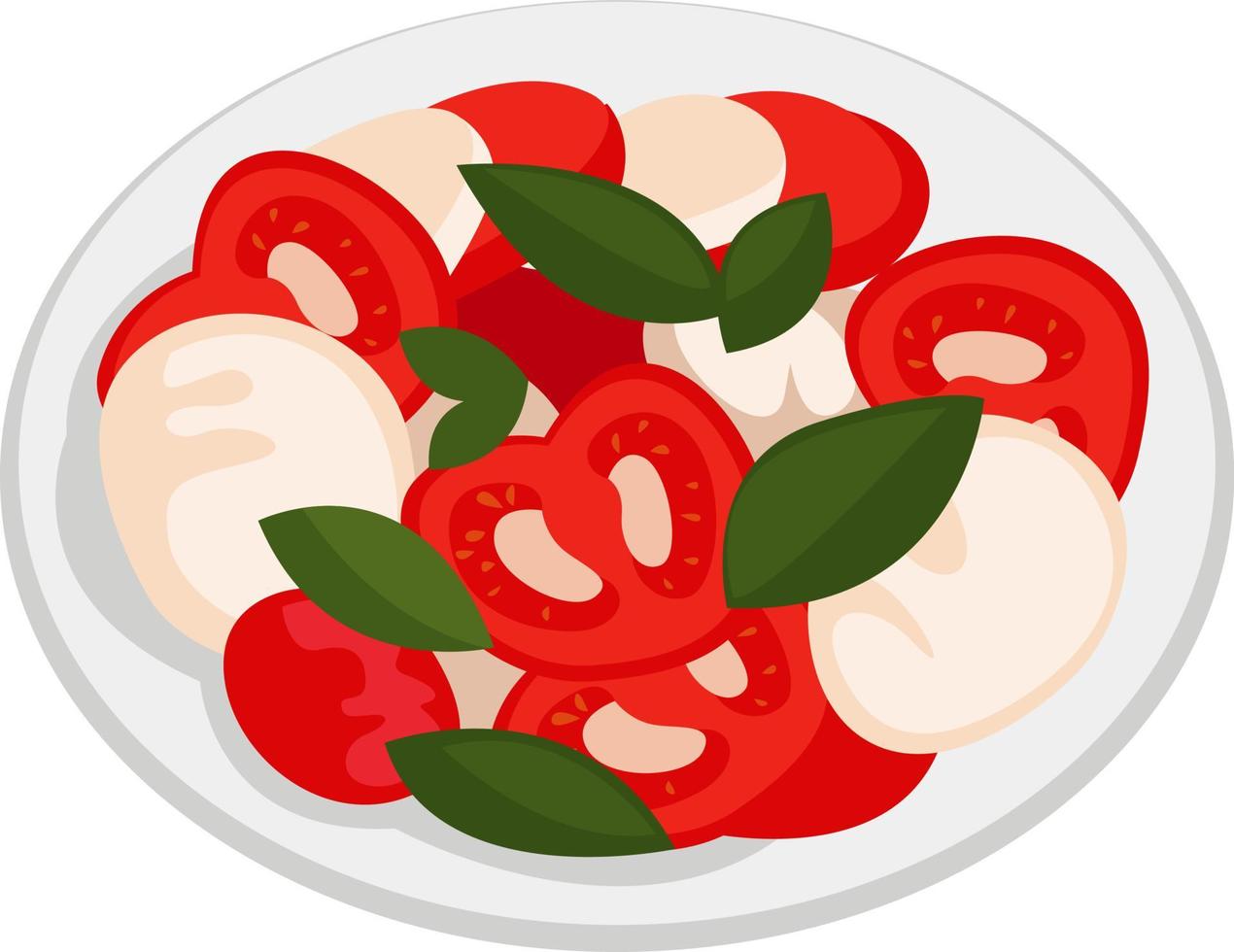 Caprese salad, illustration, vector on white background