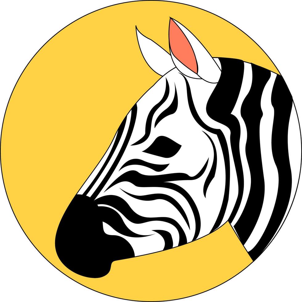 Beautiful zebra, illustration, vector on white background.