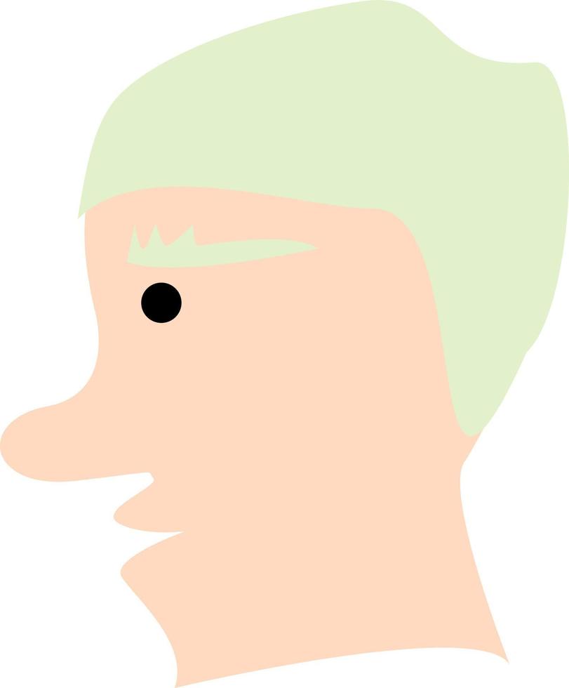 hombre con pelo verde y nariz grande, ilustración, vector, sobre un fondo blanco. vector