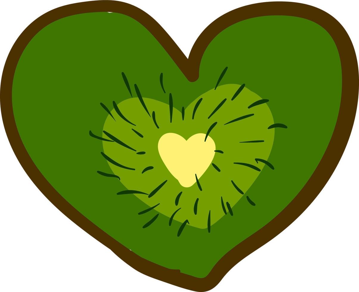 A kiwi shaped like a heart, vector or color illustration.