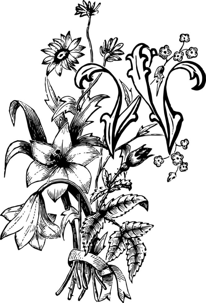 letra mayúscula w, ilustración vintage. vector