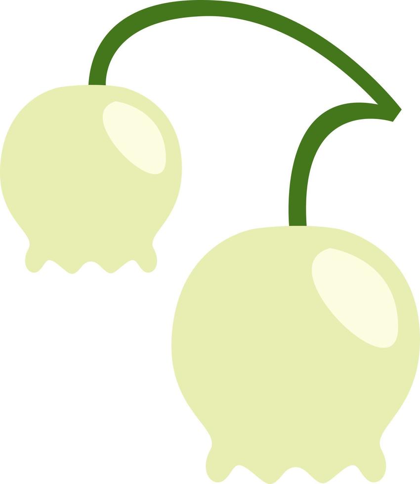 Lily of the valley flower, illustration, vector, on a white background. vector