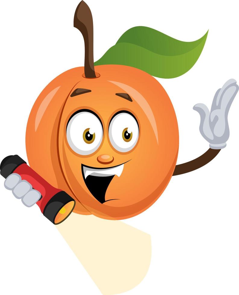 Apricot with flashlight, illustration, vector on white background.