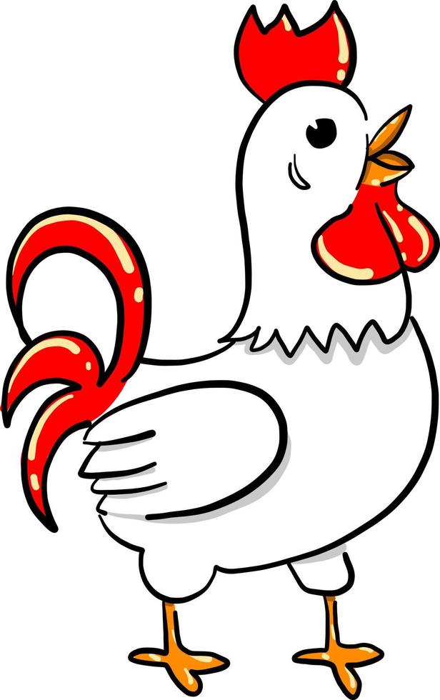 White cock, illustration, vector on white background