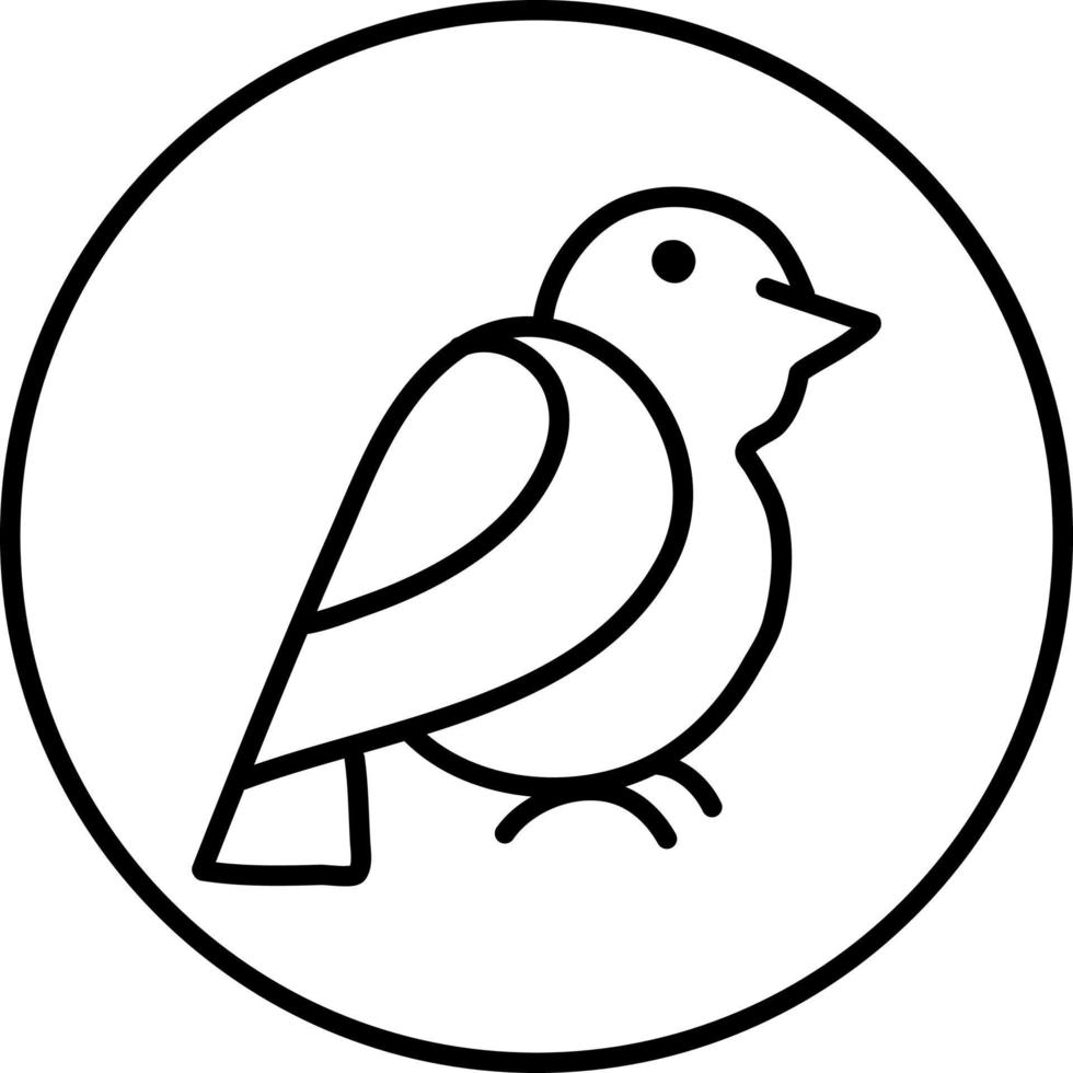 Frigate bird, illustration, on a white background. vector