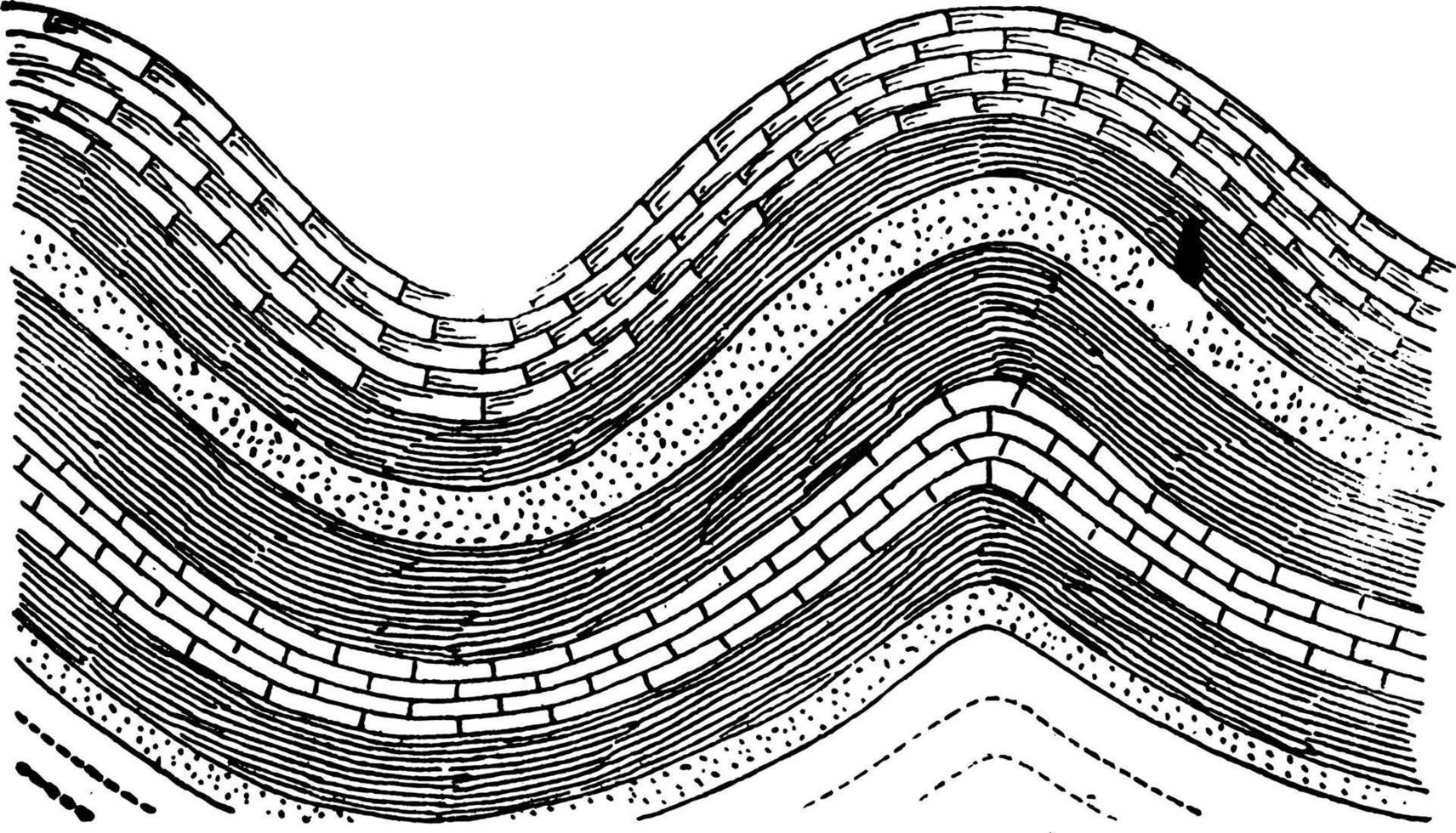 Strata Folds, vintage illustration vector