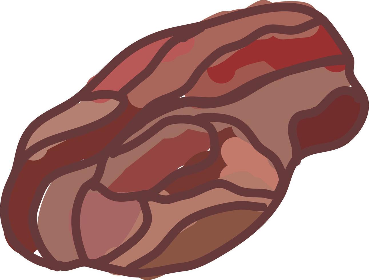 Bone chuck roast, illustration, vector on white background.