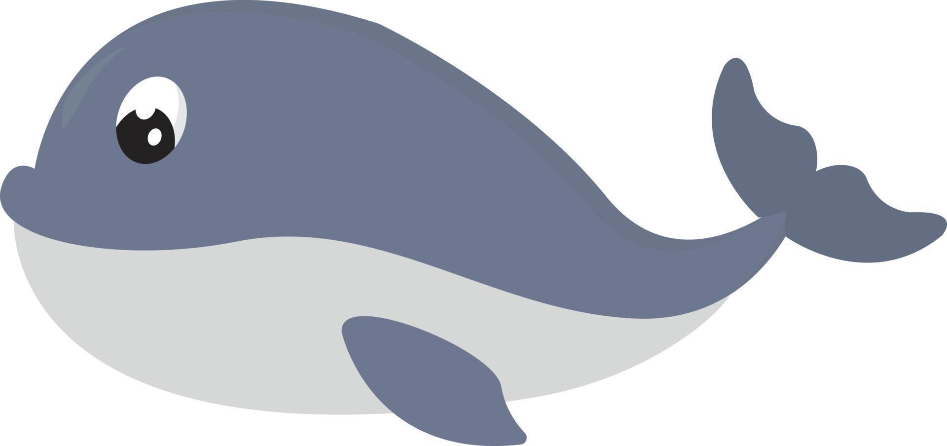 Blue whale, illustration, vector on white background.