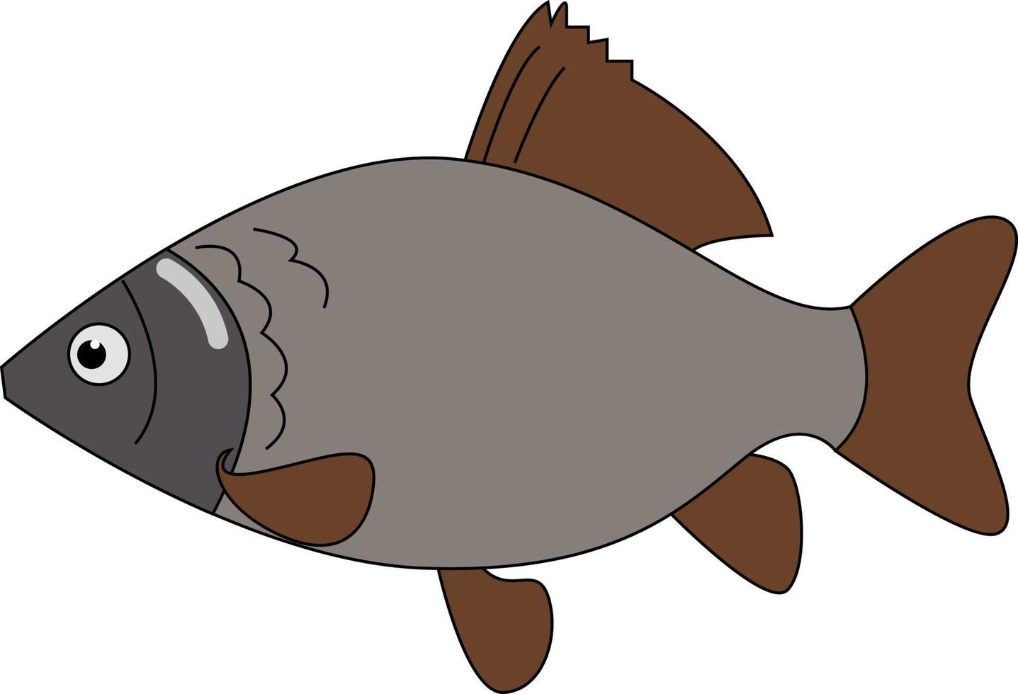 pez carassius, ilustración, vector sobre fondo blanco.