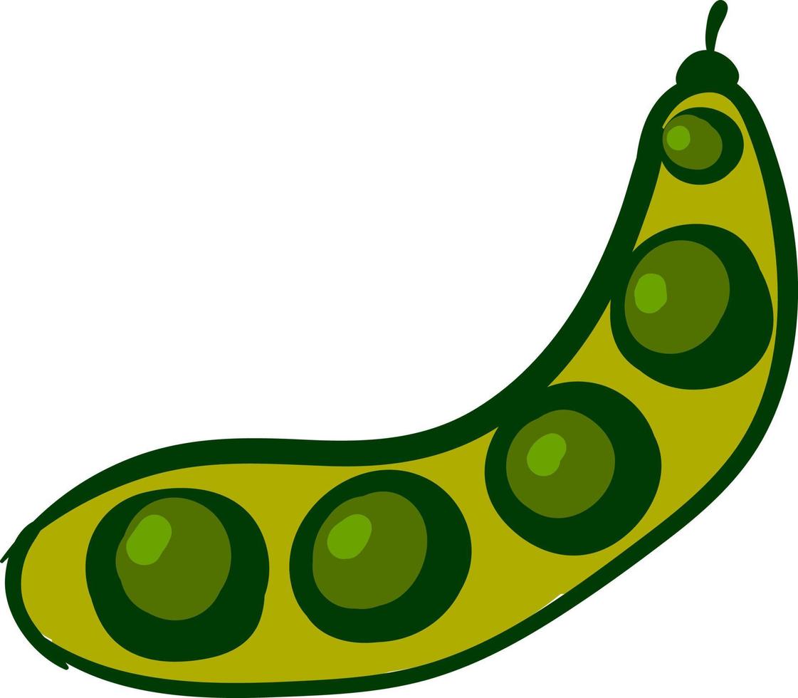 Flat peas, illustration, vector on white background.