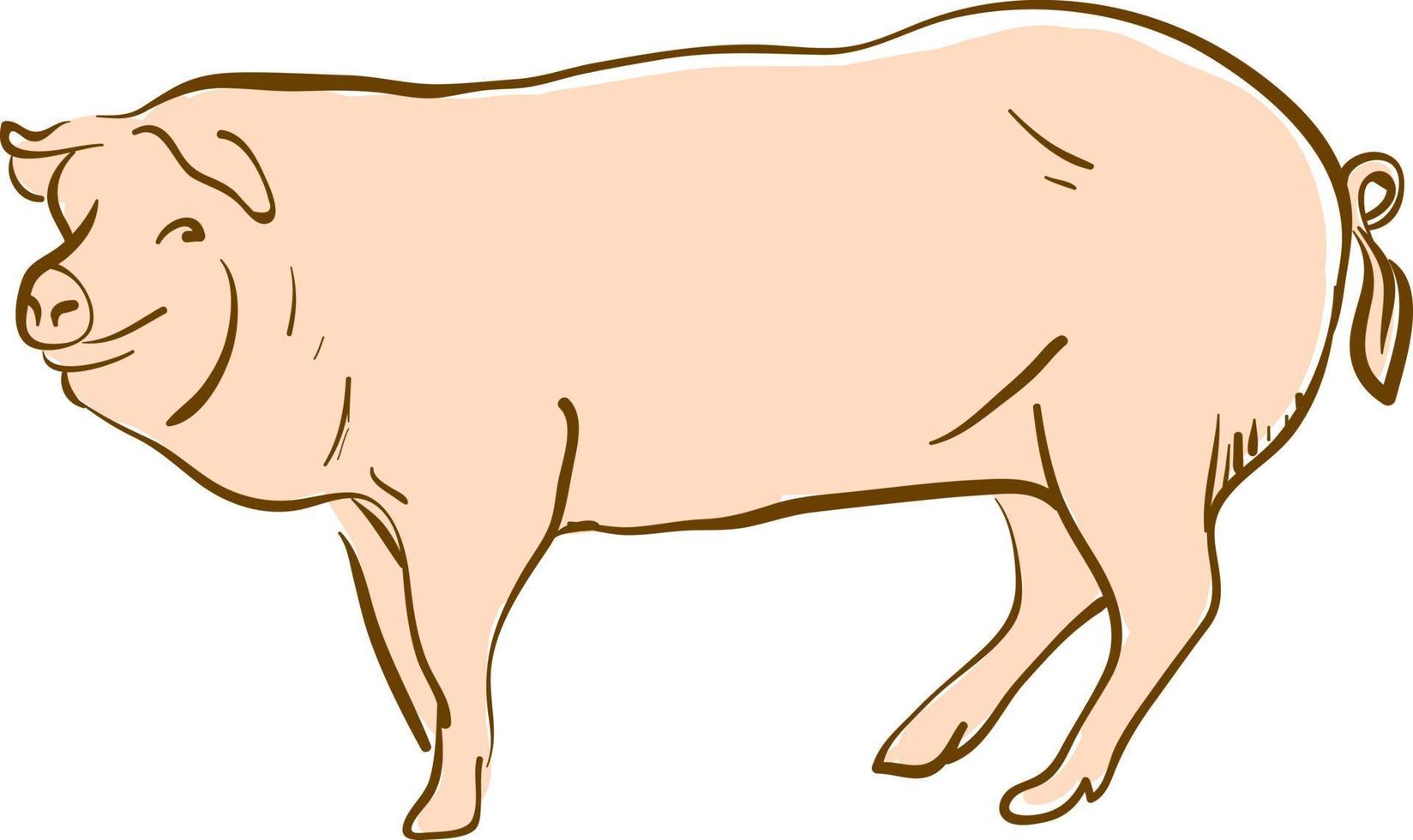 Fat pig, illustration, vector on white background.