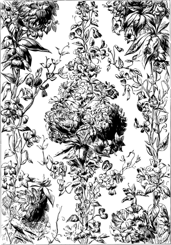 Chintz Fabric  is a cotton fabric imprinted, vintage engraving. vector