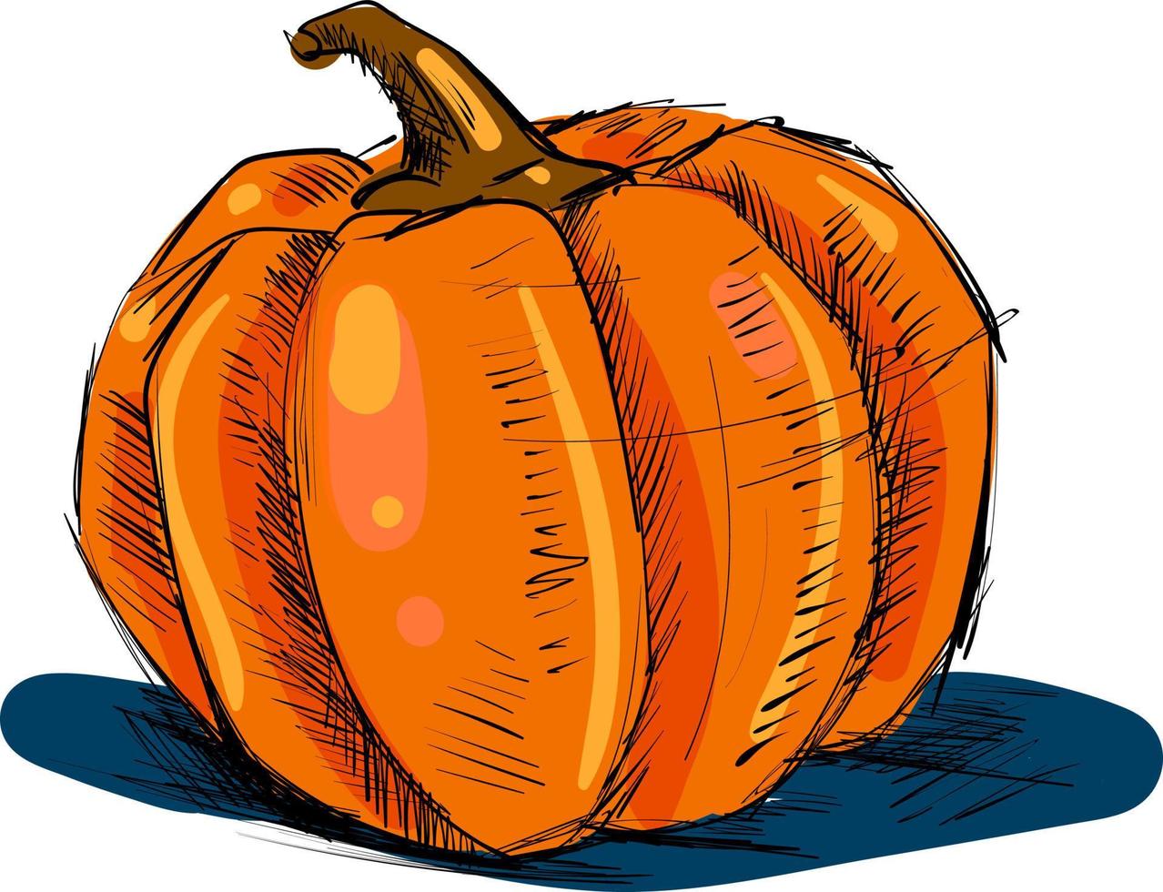 Pumpkin drawing, illustration, vector on white background.