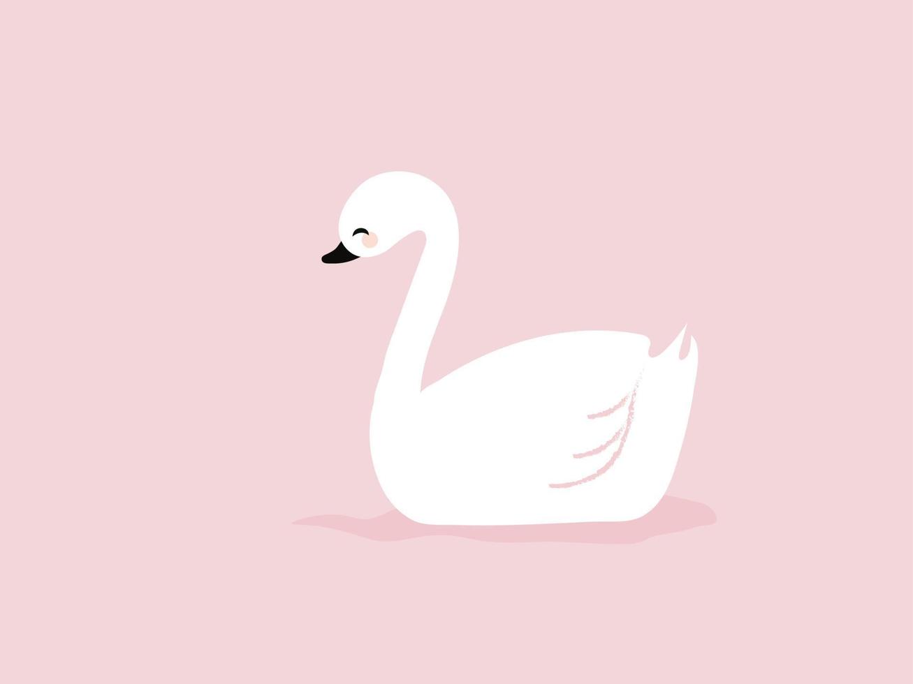 Cisne blanco, ilustración, vector sobre fondo blanco.