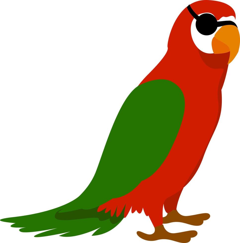 Pirate parrot, illustration, vector on white background.