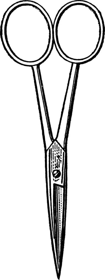 Scissors, vintage illustration. vector
